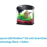 Pet Supplies Plus - Was denied purchasing a fish by manager. I own an empty fish tank! - Photo 2