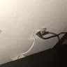 Econo Lodge, North Charleston SC - Inadequate standards not acceptable - Photo 3