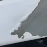 KIA Motors - 2014 Kia Sorento Delamination of Pearl White Paint - Photo 4