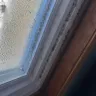Renewal by Andersen - Windows in my house. - Photo 2