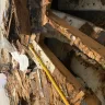 Terminix - Crawl space encapsulation epic and catastrophic failure. - Photo 1