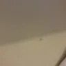 TicketsatWork - Refusing refund on hotel  - Photo 3