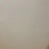 TicketsatWork - Refusing refund on hotel  - Photo 1