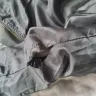 BAERSkin Hoodie - Bomber jacket