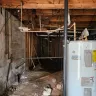 Orkin - Orkin financing fraud and dri zone - Photo 1