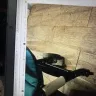 EaseMyTrip - Broken stroller in flight - Photo 5