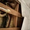 Sylvan Homes - Horrible  - Photo 3