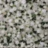 AliExpress - Flower wall