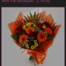 Lovely Flora World - Disgusting flowers, false advertising - Photo 1