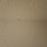 ServPro - Bad service. - Photo 3