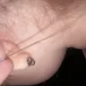 American Swiss - Ear piercings - Photo 2