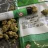 Ganja Estates - I contacted The Ganja-estates online and they were very professional in their approach towards me as a customer