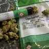 Ganja Estates - I contacted The Ganja-estates online and they were very professional in their approach towards me as a customer - Photo 1