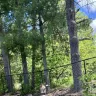 Conrex Property Management - Landscaping  - Photo 1