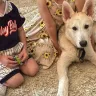 VCA Animal Hospitals - Warning to pet owners - Photo 1