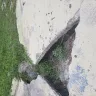 Florida Governmental Utility Authority [FGUA] - Distruction of my driveway - Photo 3