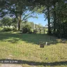 Equity LifeStyle Properties - People walking through my lot to exit and enter park through area that is not suppose to be and exit or entrance. - Photo 2