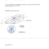 Bank of America - Power of attorney and bank of america liability for fraudulent charges - Photo 5