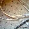 Beau Rivage - bad service - Photo 3