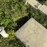 VRBO - Total scam - had to cut our family vacation short after one day! - Photo 24