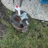 VRBO - Total scam - had to cut our family vacation short after one day! - Photo 34
