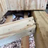Angies List - Unsafe work for handicap person - Photo 11