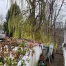 Lakeside Affiliates, LLC - Removal of tree has not been taken seriously for years by the mobile park owners. Causing problems more then ever