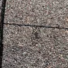 State Farm - Roof - Photo 4