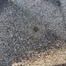 State Farm - Roof - Photo 3