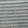 Alside Windows - Repeat issues. Poor quality - Photo 1