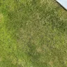 Scotts.com - Triple action 