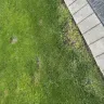 Scotts.com - Triple action 