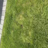 Scotts.com - Triple action 