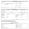 SF Express - Customs clearance