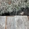 Drees Builders - Fenced damaged