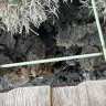 Drees Builders - Fenced damaged