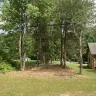Topp Dawgs Tree Service - Exceptional service, stunning transformation! - Photo 10