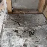 Clayton Homes - Horrific 