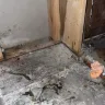 Clayton Homes - Horrific 
