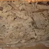The Drees Company - Construction negligence resulting in mold - Photo 12