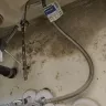 The Drees Company - Construction negligence resulting in mold - Photo 1