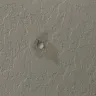Invitation Homes - Maintenance denying re roof