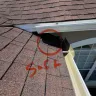 Invitation Homes - Maintenance denying re roof