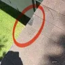 Invitation Homes - Maintenance denying re roof