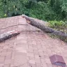 Pro Style Roofing - False Invoice - Photo 4