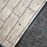 Yelp.com - Roach and broken AC with no help from staff - Photo 2