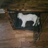 Banfield Pet Hospital - Pet care - Photo 1