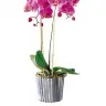 JustFlowers.com - Flower delivery - Photo 2
