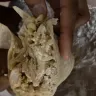 Chipotle Mexican Grill - incorrect order- difficult to contact Chipotle store/team - Photo 6