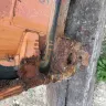 Used Conex - Worthless "guarantee" - Photo 5